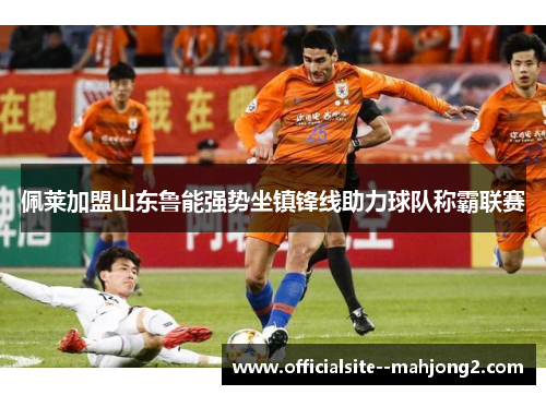 佩莱加盟山东鲁能强势坐镇锋线助力球队称霸联赛