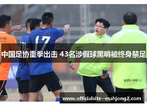 中国足协重拳出击 43名涉假球黑哨被终身禁足